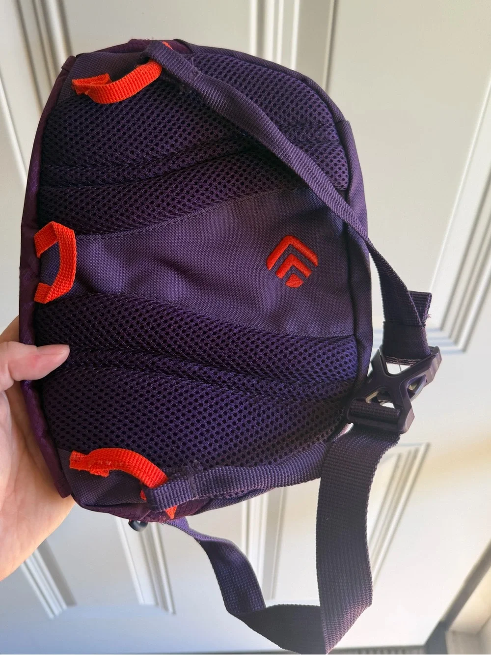 Purple Outdoor Product Crossbody/Waist Bag